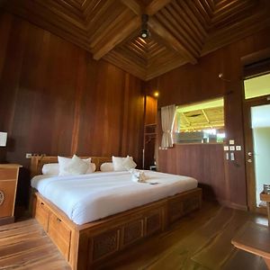 Full board Yoga Spa Sauna One Way Airport Transport